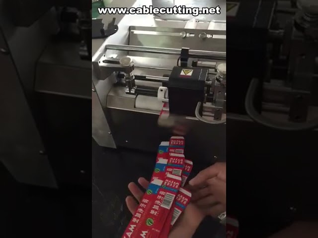 Katı Mürekkep Tarih Kodlama Makinesi | Endüstriyel Tarih Yazıcı