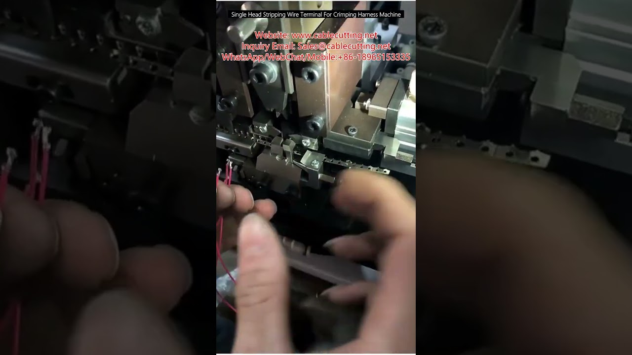 Tek Kafalı Kablo Sıyırma ve Terminal Presleme Makinesi - Kablo Demeti Üretimi İçin